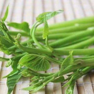 Thai Water Spinach Seeds - Thai Pak Bung Kaew