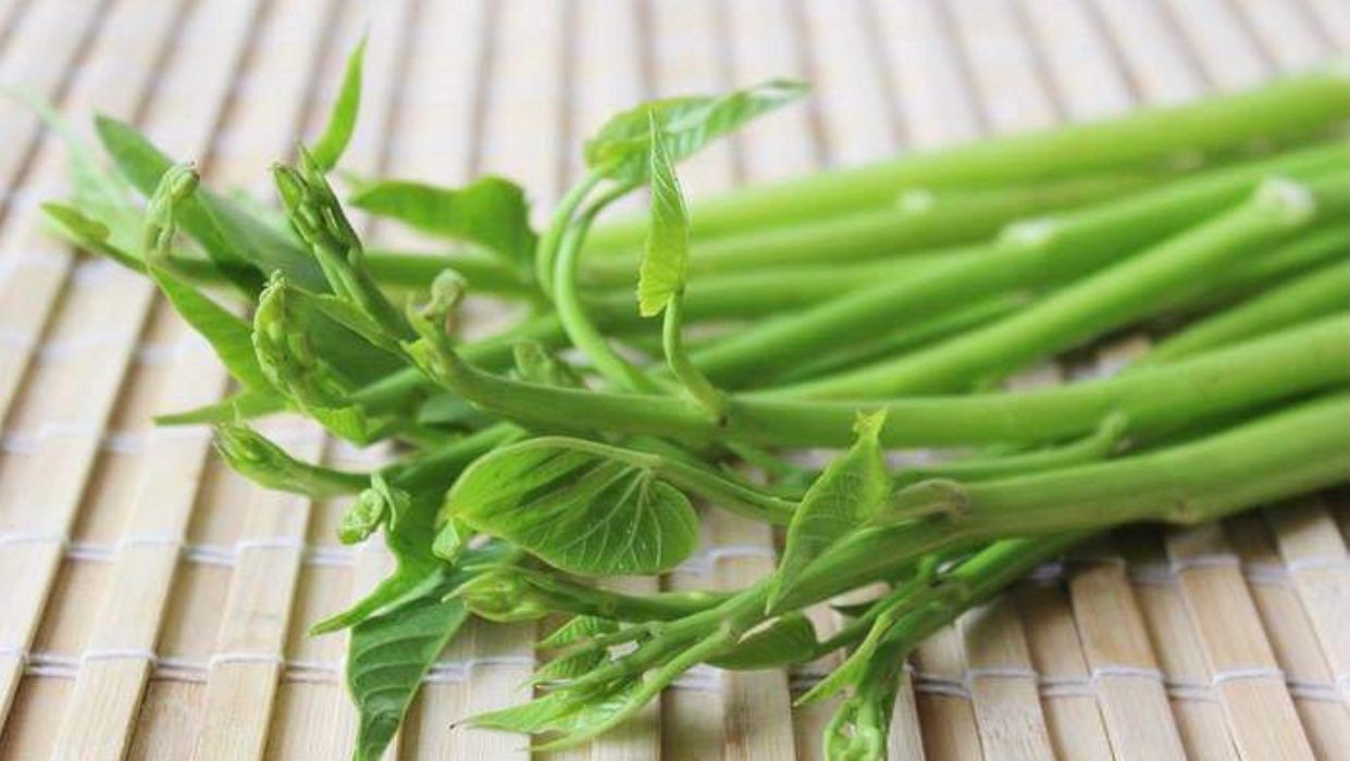 Semillas de espinacas de agua tailandesas - Thai Pak Bung Kaew - Etsy México, image size:1241x700