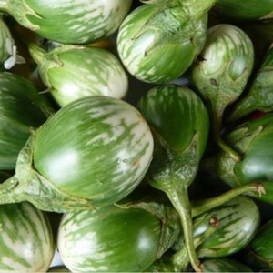 Thai Round Eggplant Seeds