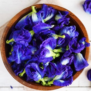 Butterfly Pea Seed (5 Seeds)