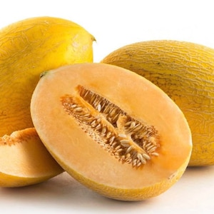 Chinese Hami Melon Seeds (10+ Seeds)