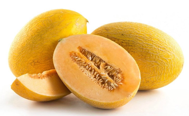 Chinese Hami Melon Seeds 10 Seeds image 1