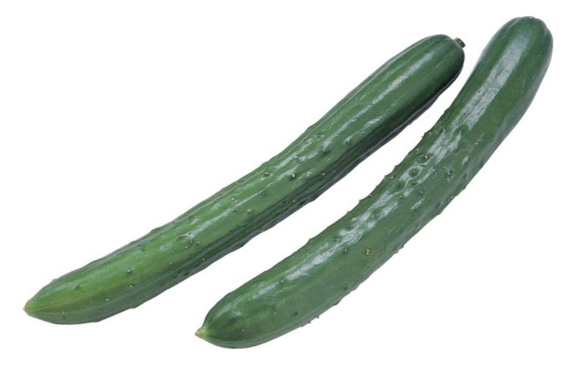 Cucumber China Long Hybrid Seed 10 Seeds Etsy.de