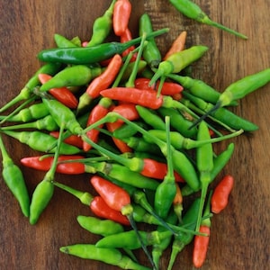 Garden Bird Pepper,Thai Hot Pepper Chilli Live Seeds