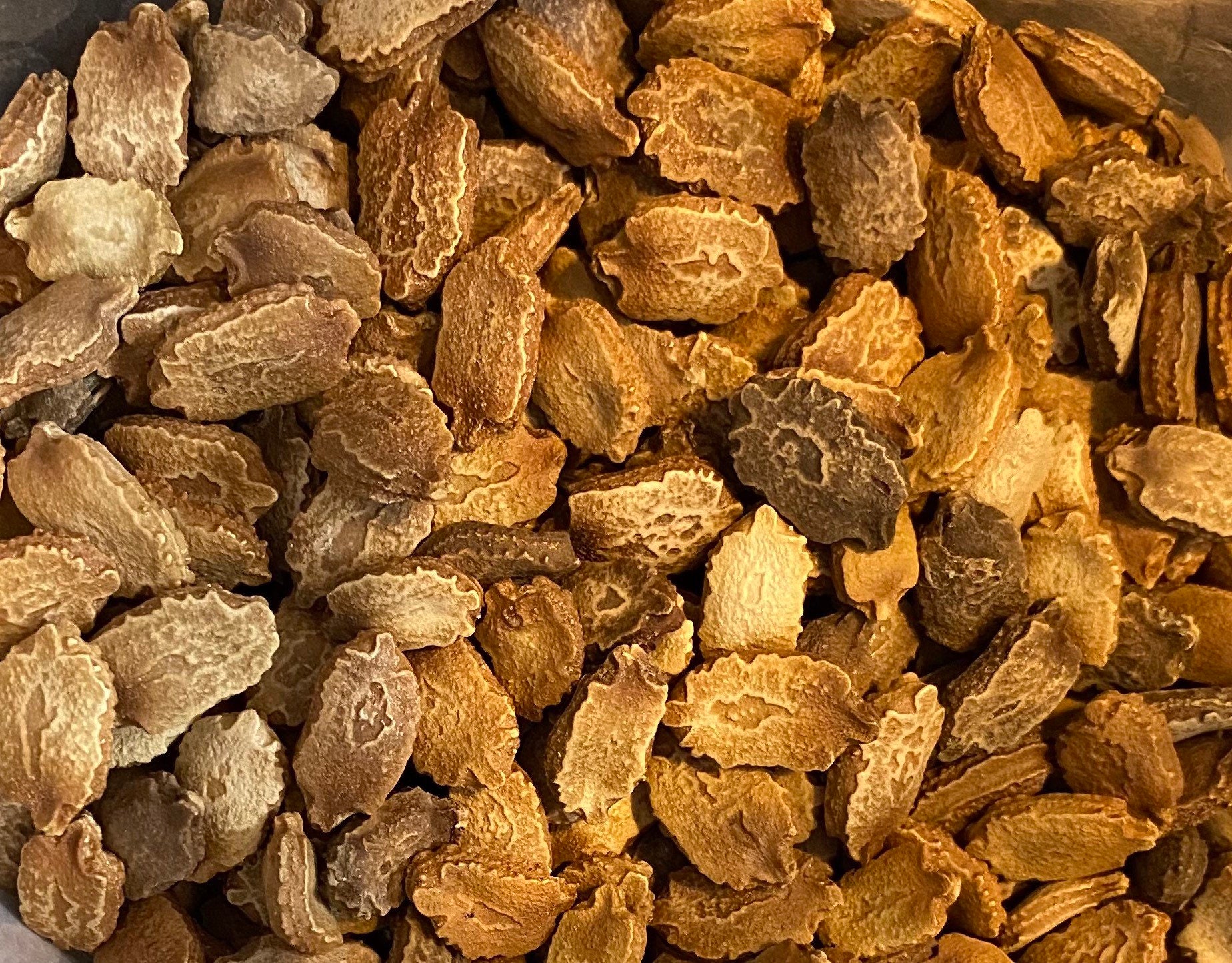 Japanese Long Bitter Gourd Seeds Etsy Ireland