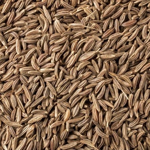Caraway Seeds (100+ Seeds)