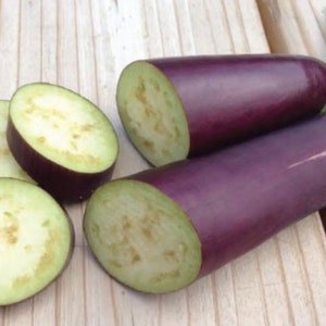 Long Purple Eggplant Seeds