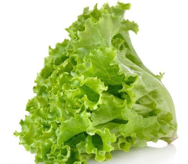 Thai Green Leaf Lettuce Seed Etsy