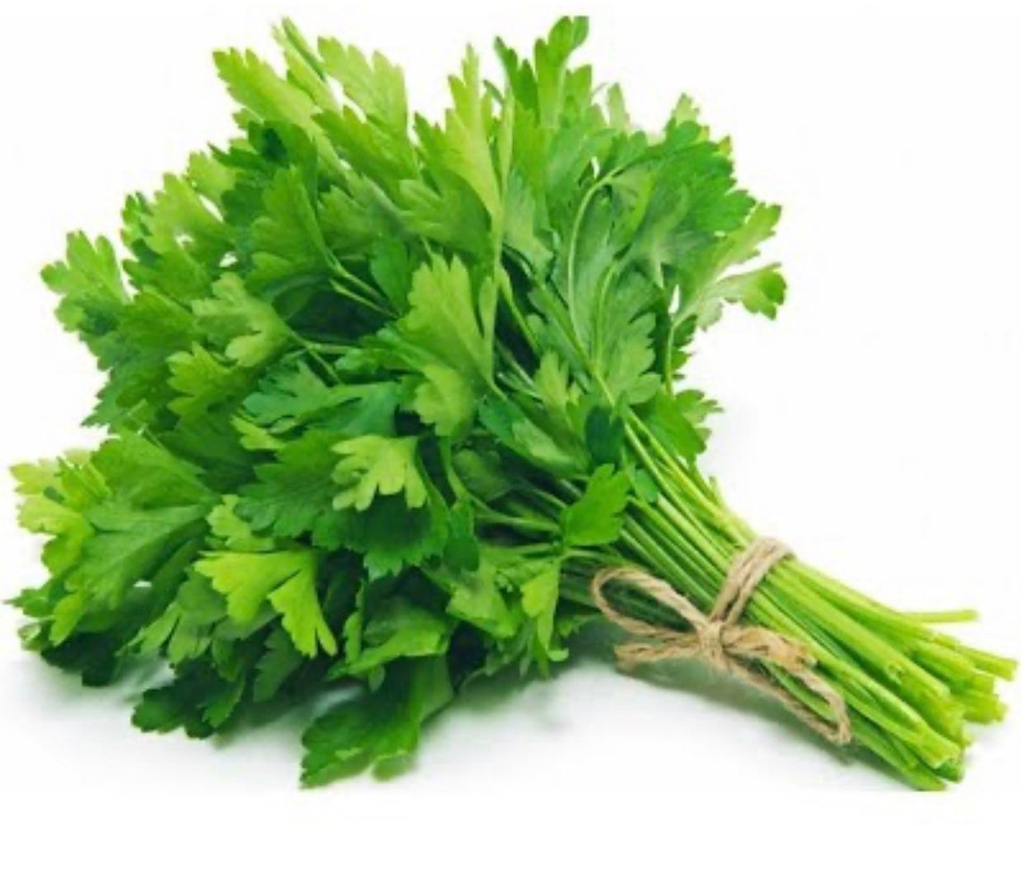Chinese Celery Light Green seeds Etsy