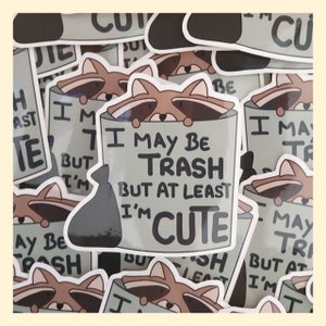 Sticker Vinyle Raton-laveur '' I May Be Trash But At Least I'm Cute ''