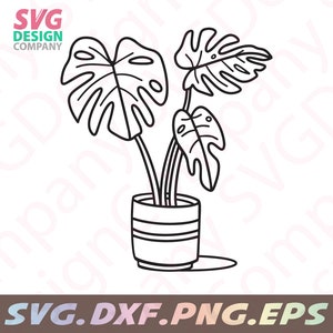 May include: Black and white line art illustration of a potted monstera plant with three leaves. The plant is in a striped pot.