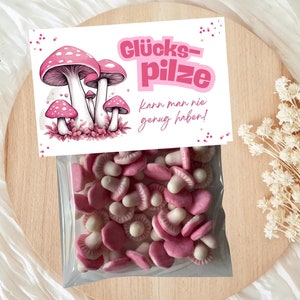 MODELLO STAMPA Set fai da te "Lucky Charm", modello per la stampa, regalo per esame, idea regalo fortuna, incoraggiamento, motivazione, funghi, regalo