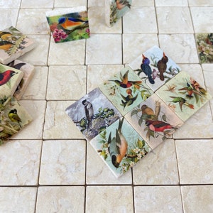May include: A set of 12 square ceramic tiles with colorful bird illustrations. Each tile features a different bird species with intricate details and floral accents. The tiles are perfect for adding a touch of nature to any space.