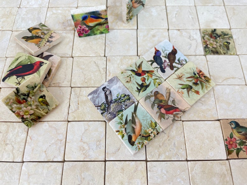 May include: A set of 12 square ceramic tiles with colorful bird illustrations. Each tile features a different bird species with intricate details and floral accents. The tiles are perfect for adding a touch of nature to any space.