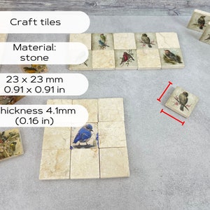 May include: Craft tiles made of stone with a bird design. The tiles are 0.91 inches by 0.91 inches and 0.16 inches thick.