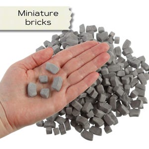 Miniature Bricks: Dollhouse, Fairy Garden, and School Project