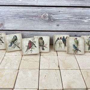 May include: Set of eight square ceramic tiles featuring various bird illustrations. Each tile depicts a different bird species, including a bluebird, a cardinal, and a robin, perched on branches with green leaves. The tiles have a vintage aesthetic with a cream background and brown accents.