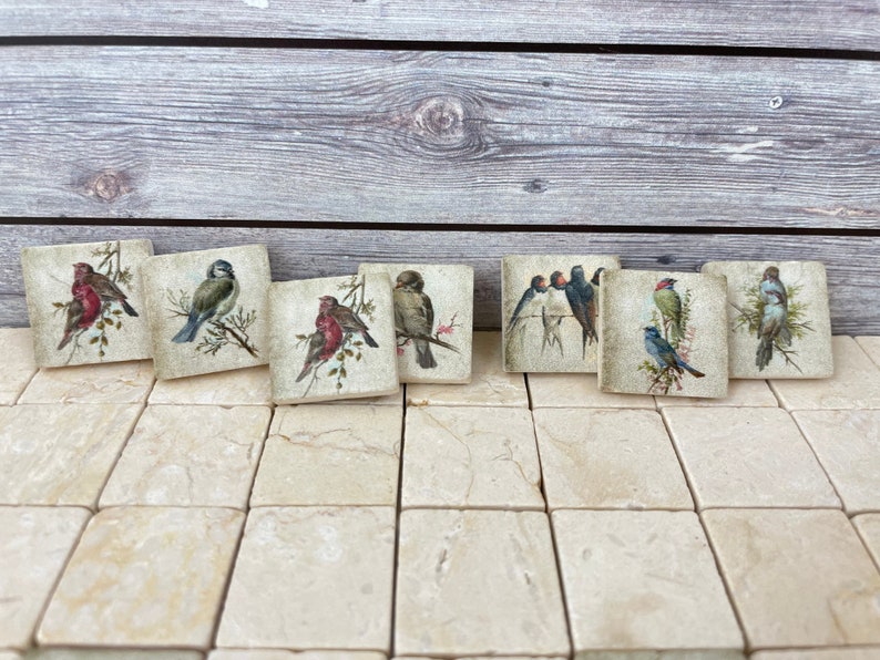 May include: Set of eight square ceramic tiles featuring various bird illustrations. Each tile depicts a different bird species, including a bluebird, a cardinal, and a robin, perched on branches with green leaves. The tiles have a vintage aesthetic with a cream background and brown accents.