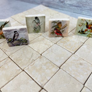 May include: A set of six square tiles with images of birds on them. The tiles are made of a light beige stone and have a slightly textured surface. The birds are depicted in a vintage style and are surrounded by flowers and leaves.