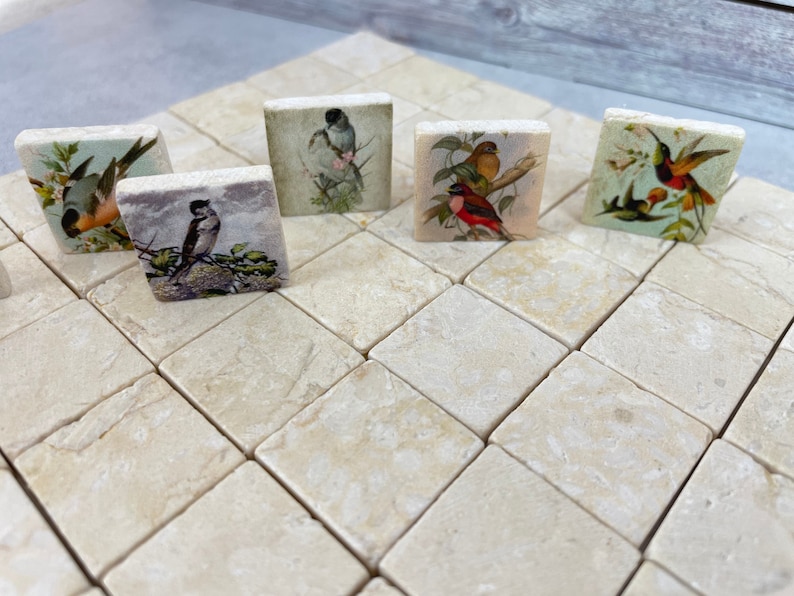 May include: A set of six square tiles with images of birds on them. The tiles are made of a light beige stone and have a slightly textured surface. The birds are depicted in a vintage style and are surrounded by flowers and leaves.