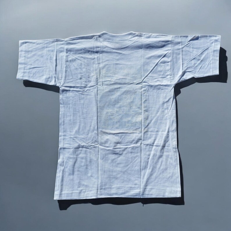 May include: A plain white t-shirt with short sleeves.