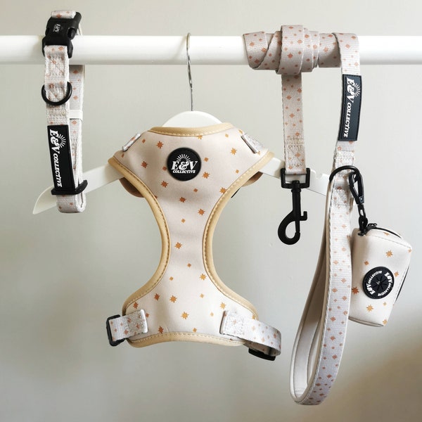 Dog Collar Holder Etsy