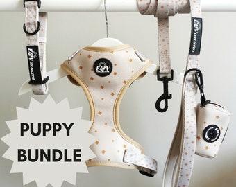FULL SET Dog Harness, Collar, Lead and Poop Bag Holder - Golden Star
