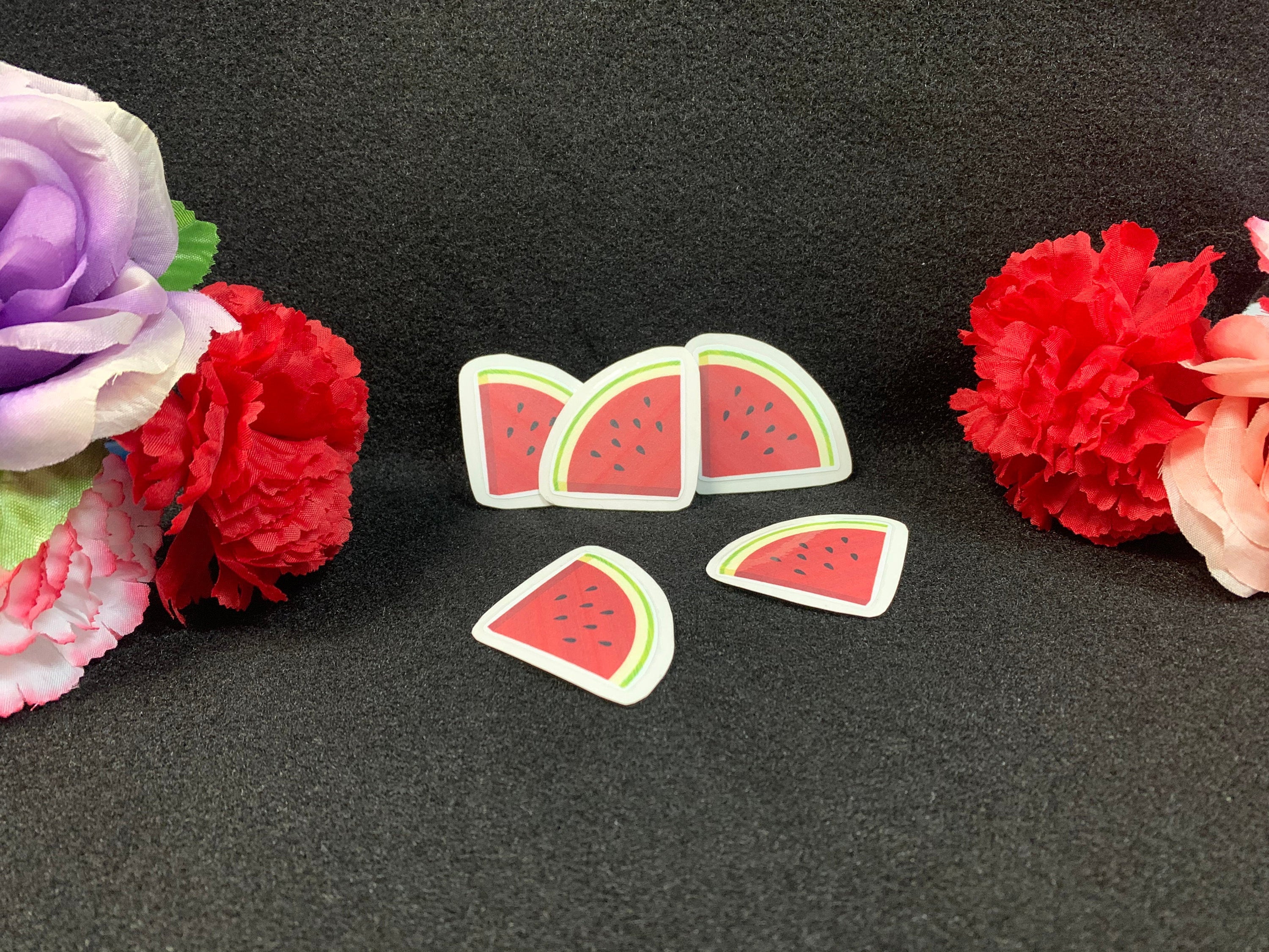 Cute Watermelon Stickers - Etsy