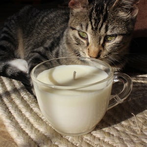 May include: A gray tabby cat looking at a white candle in a clear glass mug with a handle. The candle is on a woven rug.