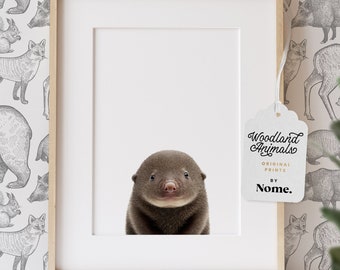 Baby Mole Print Wall Art, Woodland Animal Nursery Decor, Kids Room Art, Nursery Print, Original Baby Animal Print Art by Nome