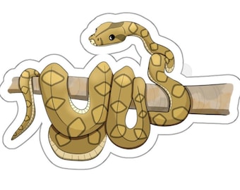 May include: A cartoon illustration of a brown snake with black markings wrapped around a branch. The snake has a cute, cartoon-like face.