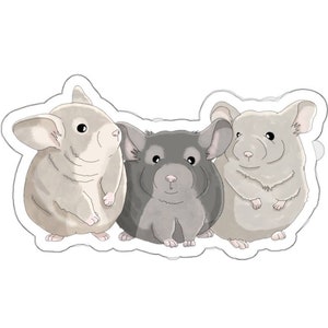 Chinchilla Decal, Vinyl Chinchilla Sticker, Laptop Sticker, Water Bottle Sticker, Window Decal (3 Sizes)