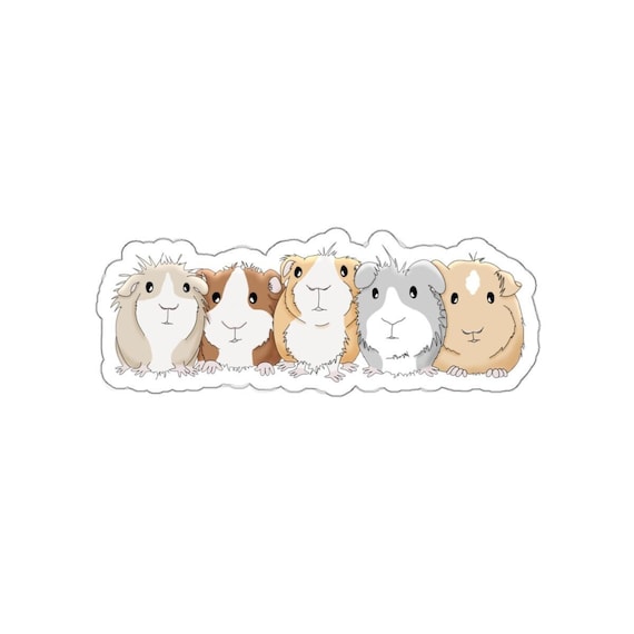 Guinea Pig Decal, Vinyl Guinea Pig Sticker, Laptop Sticker, Water Bottle Sticker, Window Decal (3 sizes)