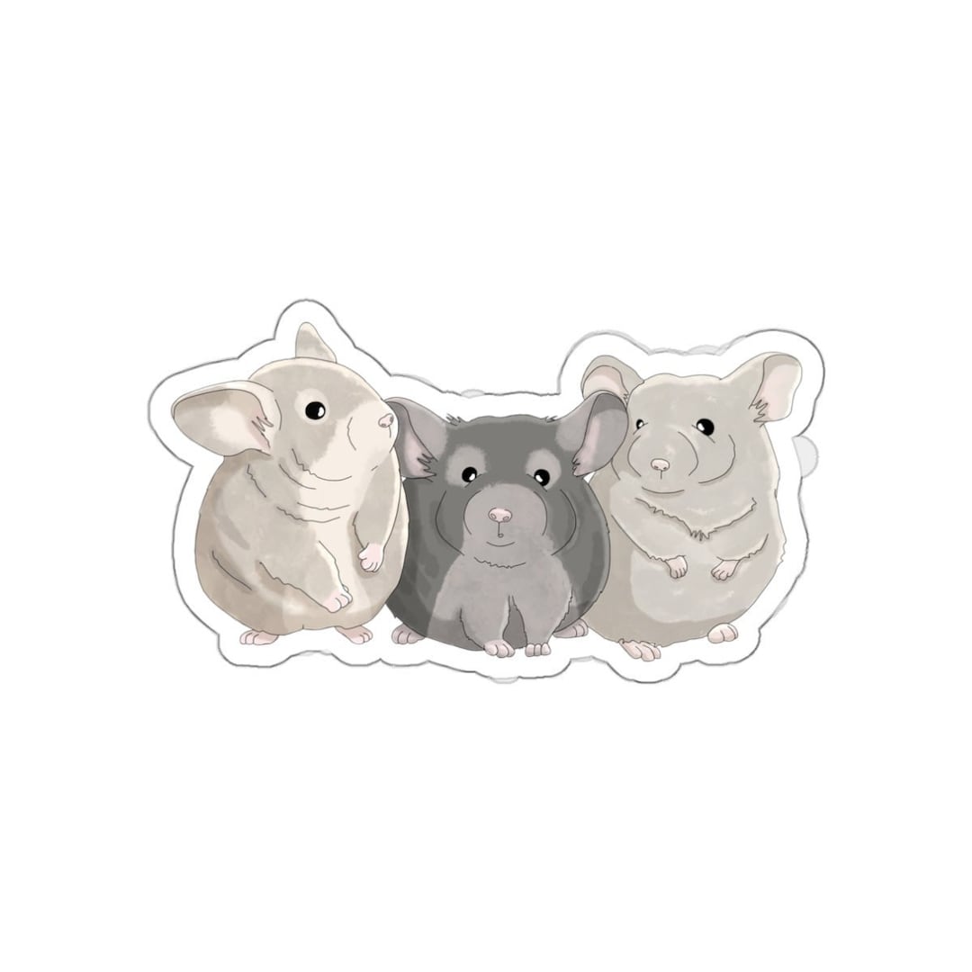 Chinchilla Decal, Vinyl Chinchilla Sticker, Laptop Sticker, Water ...