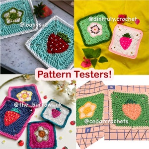 Strawberry Themed Granny Squares Crochet PDF PATTERN PACK English image 8
