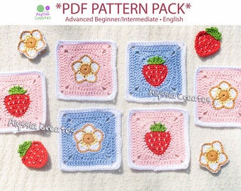 Strawberry Themed Granny Squares Crochet PDF PATTERN PACK (English)