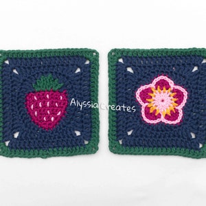 Strawberry Themed Granny Squares Crochet PDF PATTERN PACK English image 5