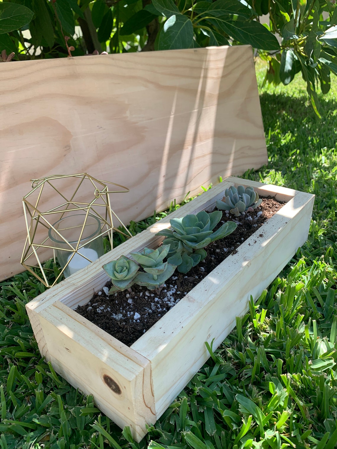 12 Wooden Plant Box Select Pine Rustic Plant Box Etsy