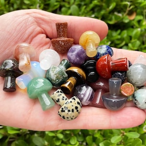 Assorted Crystal Mushrooms, Mushy Stone, Authentic Crystal Stones, Mushroom Gemstones