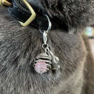 Swarovski crystal dog collar charms discount