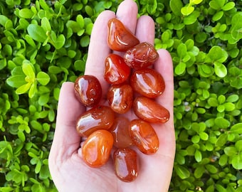 Carnelian Grade A Tumbled Stones, 18-25mm Small Natural Brazilian Carnelian, Carnelian, Red Carnelian Crystal, Authentic Carnelian