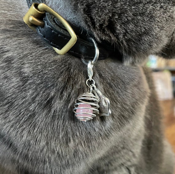 Pet Collar Charm Pet Collar Clip on Charm Chip Bead Beaded. Gemstone  Crystal Healing Pet Accessories. Pet Jewelry. Gifts for Pet Dogs, Cats. 