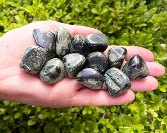 Kambaba Jasper "Grade A" Tumbled Stones, 18-25mm Small Natural Crocodile Jasper, Kambaba Jasper, Crocodile Jasper, Authentic Jasper Crystals