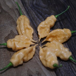 Peach Ghost Pepper Seeds, 10+