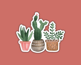 May include: Three potted plants with different types of greenery. The plants are in decorative pots with brown and white patterns. The pots are on a pink background.