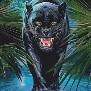 Peut inclure: Une panthère noire aux yeux jaunes marche dans une scène de jungle. La panthère marche dans une flaque d'eau peu profonde, et ses griffes sont visibles. La panthère regarde directement le spectateur.