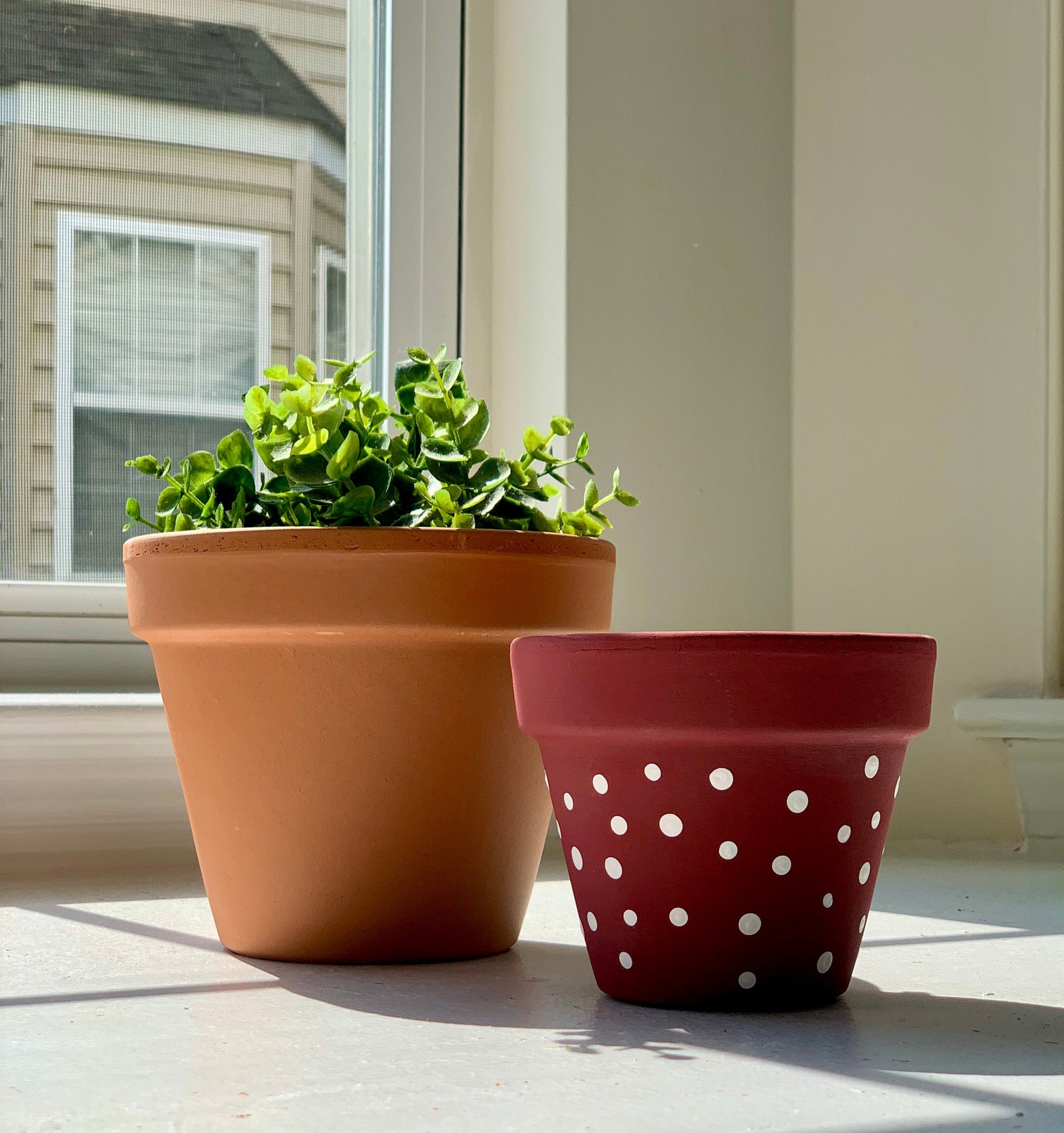 HandPainted Terracotta Pot Dots Etsy