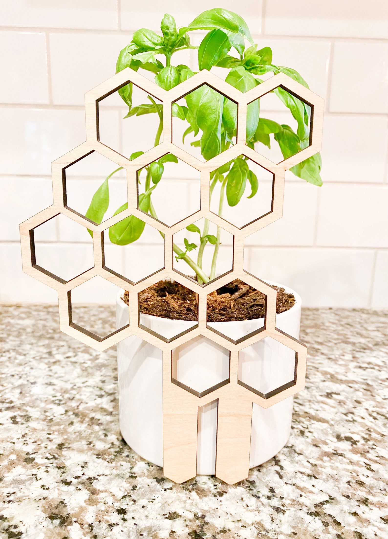 Bee Theme Indoor Plant Trellis Bee Hive Plant Trellis Etsy