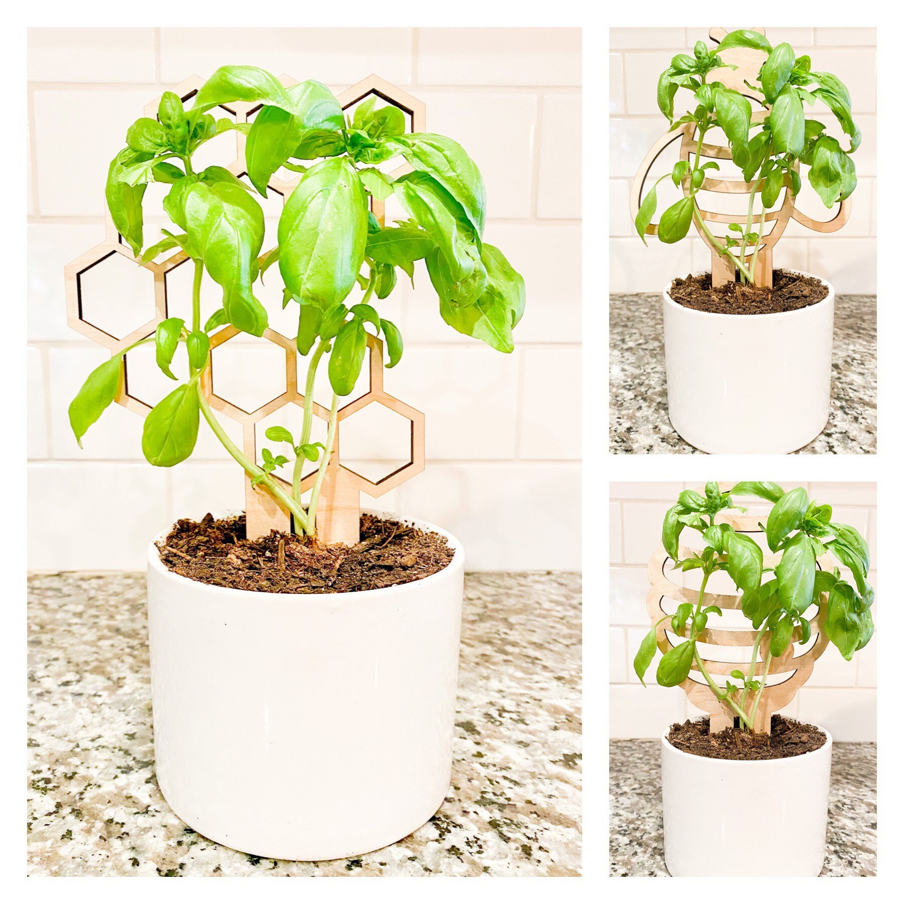 Bee Theme Indoor Plant Trellis Bee Hive Plant Trellis Etsy