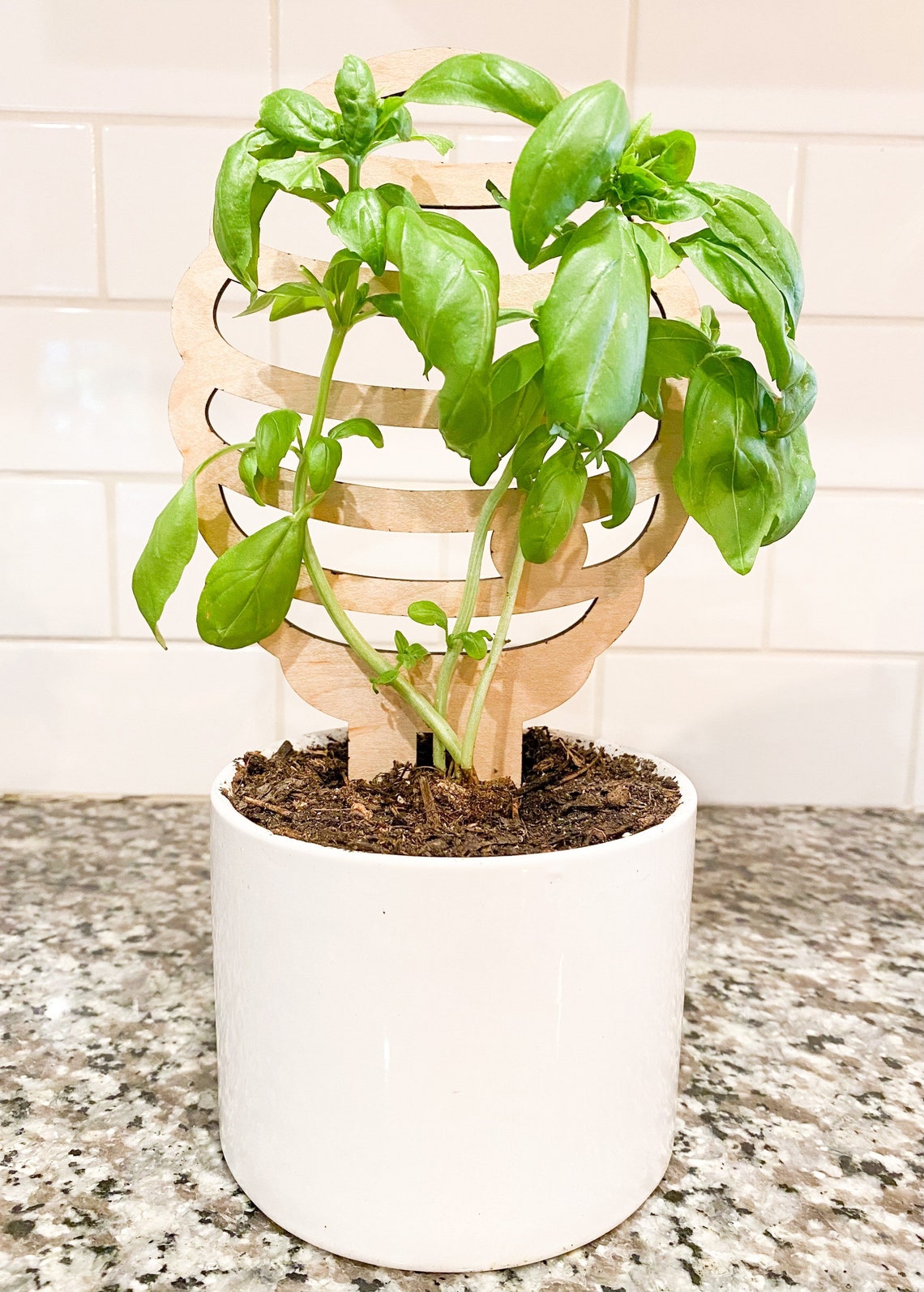 Bee Theme Indoor Plant Trellis Bee Hive Plant Trellis Etsy